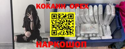 амф Донской