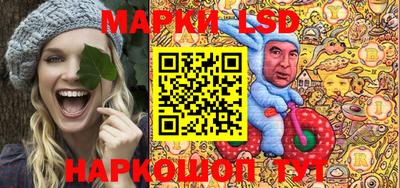 амф Донской