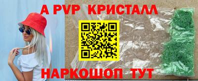амф Донской