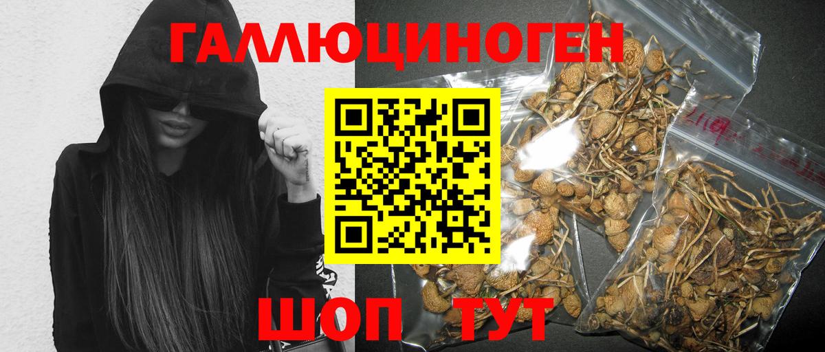 Галлюциногенные грибы Magic Shrooms  Вход с VPN  Мариинск 
